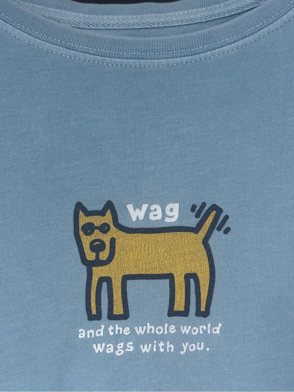Life Is Good Yellow Dog Wag Graphic Pet Tee